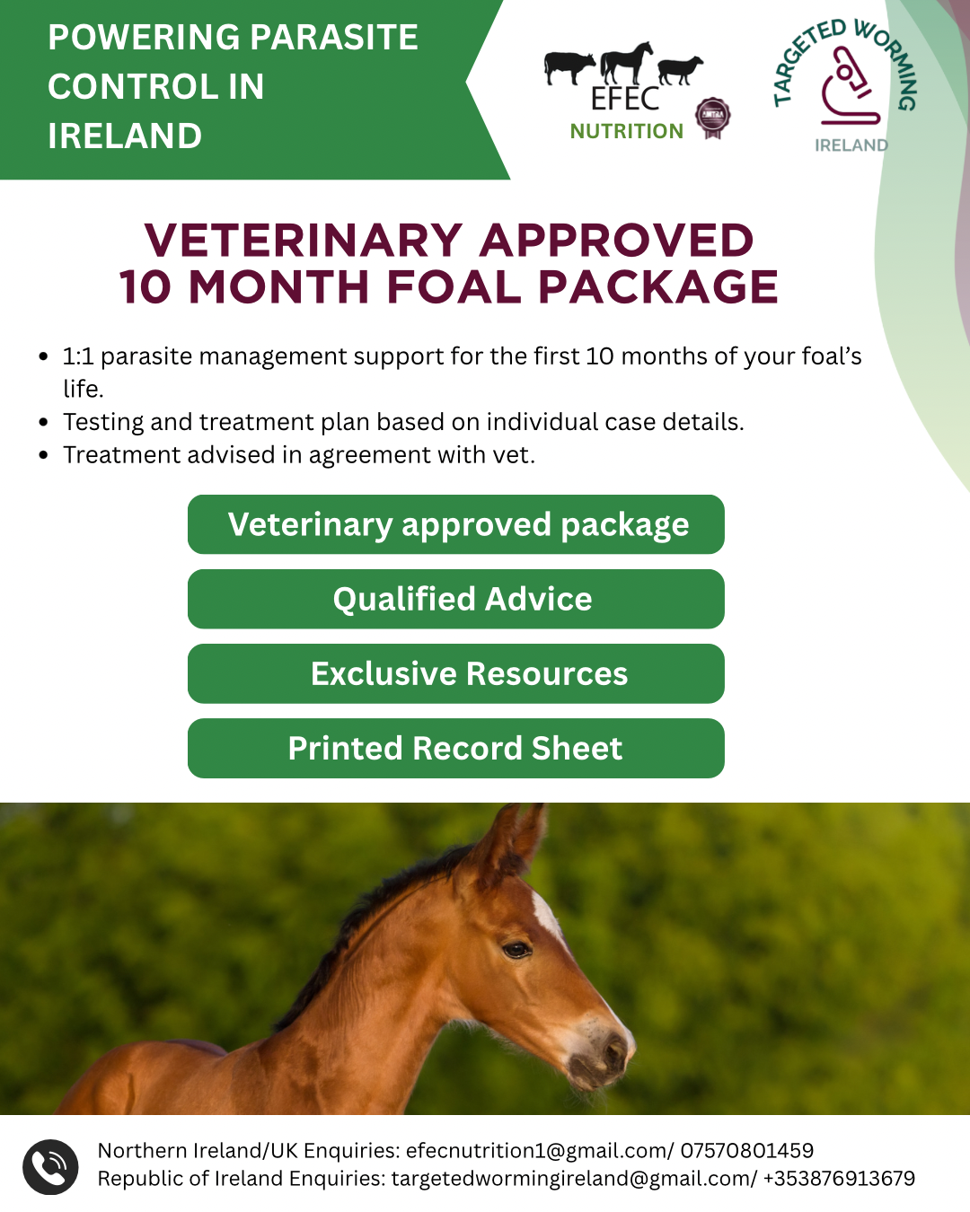 Veterinary - Approved - 10 Month Parasite Foal Guide