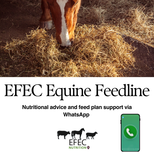 EFEC Equine Feedline