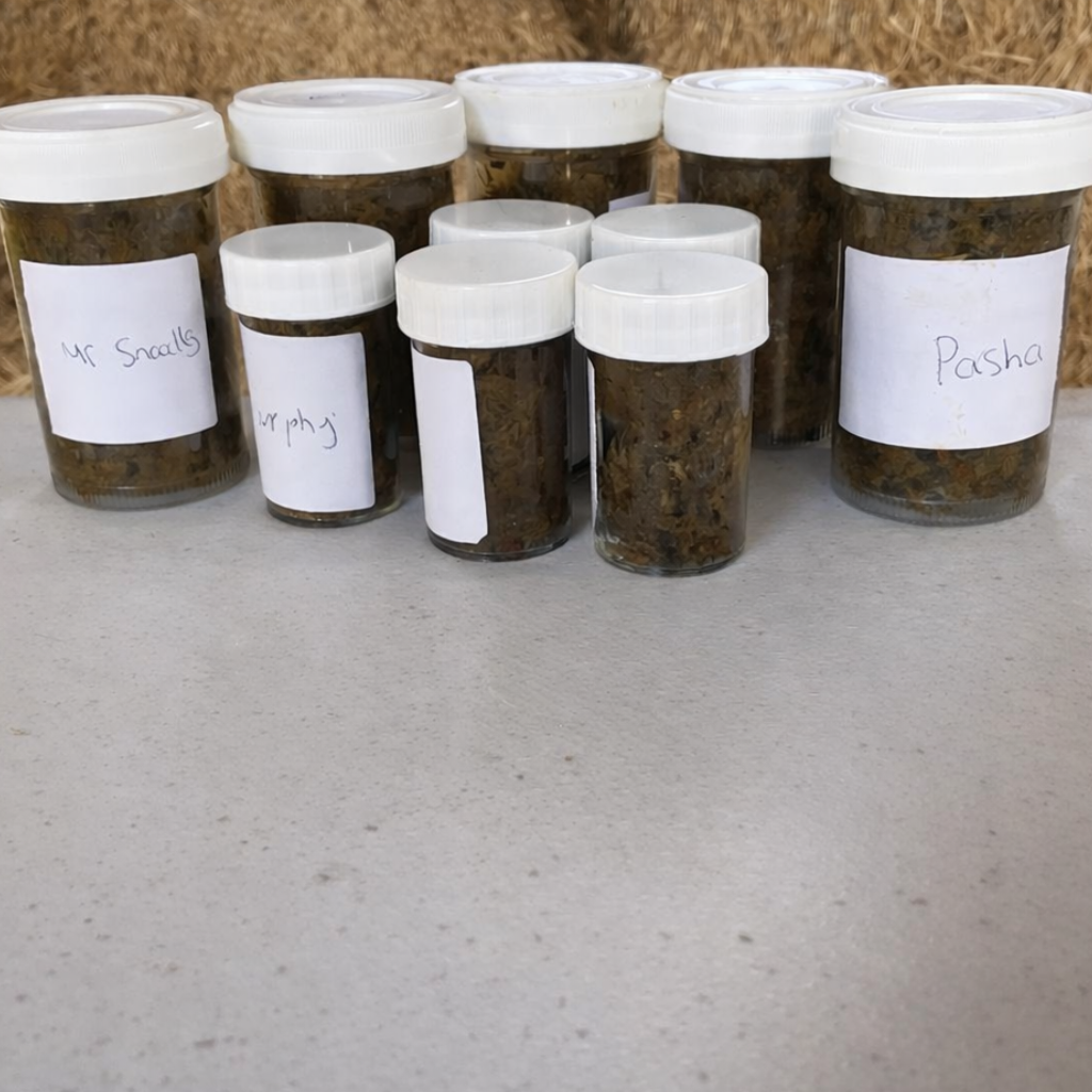 Own Packaging Faecal Egg Count